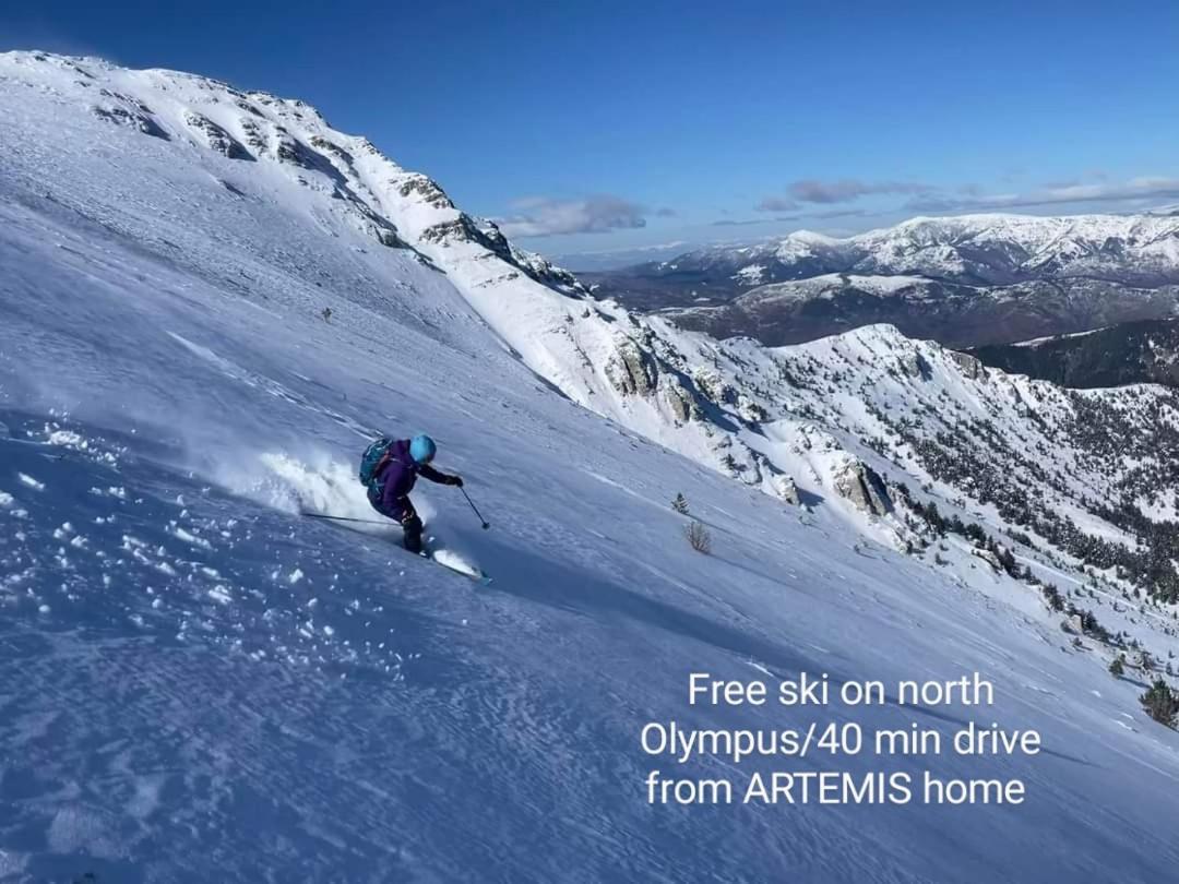 Artemis Home Petra  Экстерьер фото